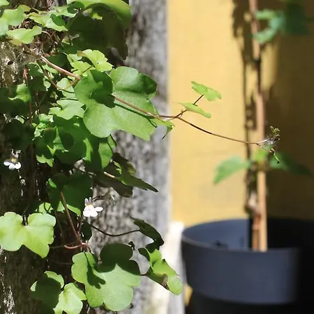 Hostel G&b - And Wines Lisboa